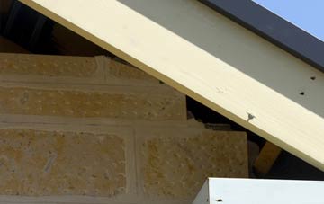 soffit repair The Rise